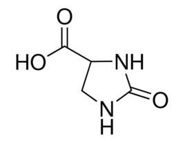 2-Imidazolidone-4-carboxylic acid95%