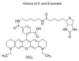 Atto 565-BiotinBioReagent, suitable for fluorescence, >=90% (HPCE)