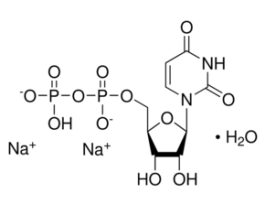 Uridine 5'-diphosphate disodium salt hydrate>=96.0% (HPLC) 100MG