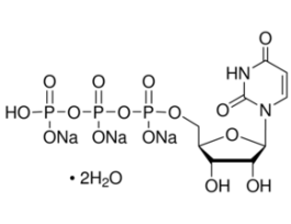 Uridine 5'-triphosphate trisodium salt dihydrate>=80% 1G
