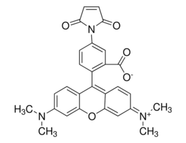 Tetramethylrhodamine-5-maleimidesuitable for fluorescence, >=85% (HPLC) 5MG
