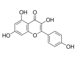 Kaempferolanalytical standard