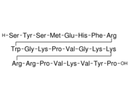 Adrenocorticotropic Hormone Fragment 1-24 human, rat>=97% (HPLC) 250UG