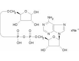 Adenosine 5'-diphosphoribose sodium salt>=93% 25MG