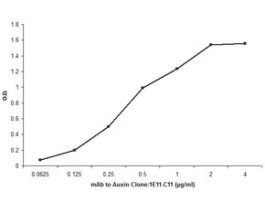 Monoclonal Anti-Auxin antibody produced in mouseclone 1E11-C11, purified from hybridoma cell culture