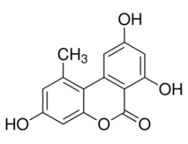 Alternariol from Alternaria sp.~96%