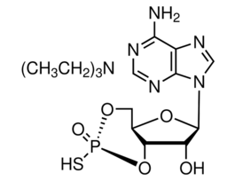 Rp-Adenosine 3',5'-cyclic monophosphorothioate triethylammonium saltpowder, >=98% (HPLC) 1MG