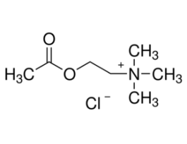 Acetylcholine chloridesuitable for cell culture 25G