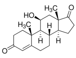 4-Androsten-11beta-ol-3,17-dione 10MG