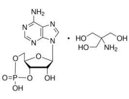 Adenosine 3',5'-cyclic monophosphate tris salt>=97% (HPLC), powder