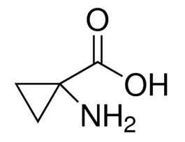 1-Aminocyclopropanecarboxylic acid>=98% (TLC) 250MG