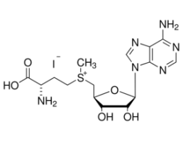 S-(5'-Adenosyl)-L-methionine iodidefrom yeast, >=80% (HPLC), >=80% (spectrophotometric assay) 100MG