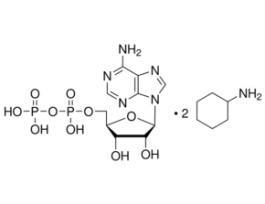 Adenosine 5'-diphosphate bis(cyclohexylammonium) salt>=95% (HPLC), crystalline, bacterial 1G