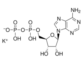 Adenosine 5'-diphosphate monopotassium salt dihydratebacterial, >=95%, powder 5X1G