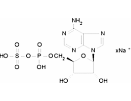 Adenosine 5'-phosphosulfate sodium salt>=85% 50MG