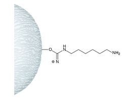 omega-Aminohexyl-Agarosesaline suspension 10ML