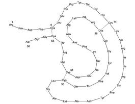 Aprotinin bovinerecombinant, expressed in Nicotiana, >=5 TIU/mg protein, >=98% (SDS-PAGE) 100MG