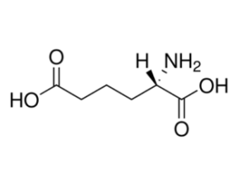 L-2-Aminoadipic acid>=98% (TLC) 5G