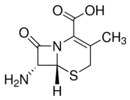 7-Aminodesacetoxycephalosporanic acid 1G