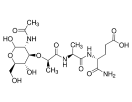 N-Acetylmuramyl-L-alanyl-D-isoglutamine hydrate>=98% (TLC) 1MG