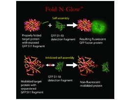 Green UniversalDetection Reagent