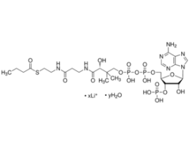 Butyryl coenzyme A lithium salt hydrate>=90% 5MG