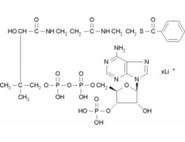 Benzoyl coenzyme A lithium salt>=90%