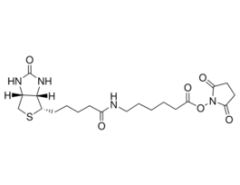 Biotinamidohexanoic acid N-hydroxysuccinimide ester>=98% (TLC), powder 10MG