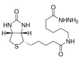 (+)-Biotinamidohexanoic acid hydrazide>=90% (TLC), powder 25MG