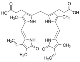 Bilirubin>=98% (EmM/453 = 60), powder 1G