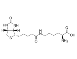 Biocytin>=98% (TLC) 100MG