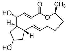 Brefeldin Afrom Penicillium brefeldianum, Ready Made Solution, 10 mg/mL in DMSO, 0.2 mum filtered
