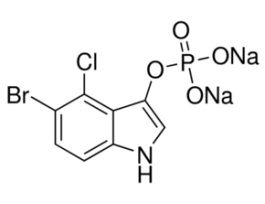 5-Bromo-4-chloro-3-indolyl phosphate disodium salt>=98% (HPLC) 50MG