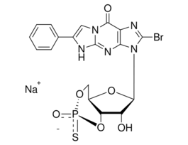 Rp-8-Bromo-beta-phenyl-1,N2-ethenoguanosine 3',5'-cyclic monophosphorothioate sodium salt>=98% (HPLC), powder 1MG
