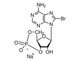 8-Bromoadenosine 3',5'-cyclic monophosphate sodium salt>=97% (HPLC), powder 100MG