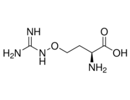 L-Canavanine>=98% (TLC), powder, from Canavalia ensiformis 1G