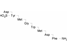 (Tyr[SO3H]27)Cholecystokinin fragment 26-33 Amide>=97% (HPLC), powder 1MG