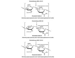 Chondroitinase ABC from Proteus vulgarislyophilized powder, 0.3-3 units/mg solid (using chondroitin sulfate C as substrate) 5UN