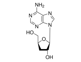 Cordycepinfrom Cordyceps militaris 25MG