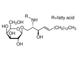 Galactocerebrosides from bovine brain>=97% (TLC) 25MG