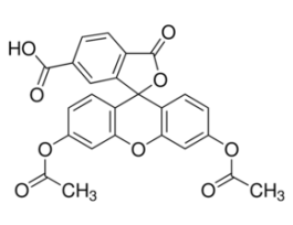 6-Carboxyfluorescein diacetate~95% (HPLC) 25MG