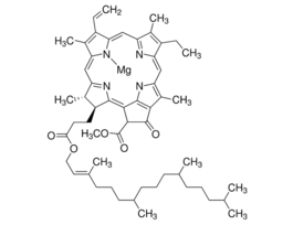 Chlorophyll afrom Anacystis nidulans algae 1MG