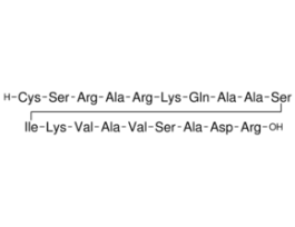 Cys-Ser-Arg-Ala-Arg-Lys-Gln-Ala-Ala-Ser-Ile-Lys-Val-Ala-Val-Ser-Ala-Asp-Arg>=90% (HPLC) .1MG
