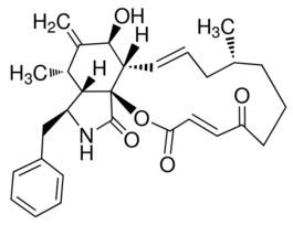 Cytochalasin A from Drechslera dematioidea