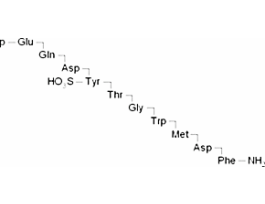 Caerulein>=97% (HPLC) .1MG
