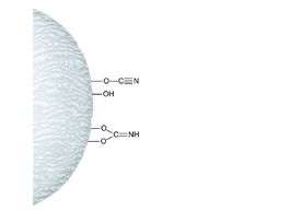 Cyanogen bromide-activated-Sepharose(R) 4Blyophilized powder 5G
