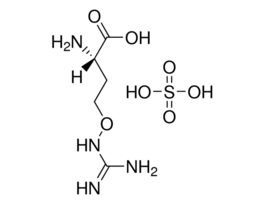 L-Canavanine sulfate salt>=99% (TLC), powder 100MG