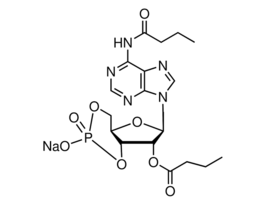 N6,2'-O-Dibutyryladenosine 3',5'-cyclic monophosphate sodium salt>=97% (HPLC), powder 100MG