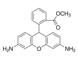 Dihydrorhodamine 123>=95% 2MG
