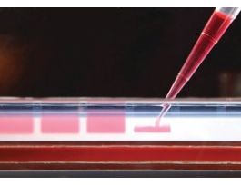JumpStart(TM) REDAccuTaq(R) LA DNA PolymeraseLong and accurate hot-start Taq with inert dye, 10X buffer included 50UN